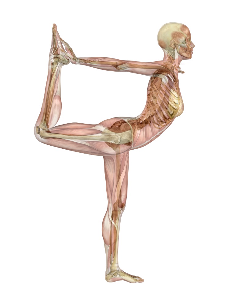 Yoga Dancer Pose
