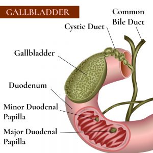 Gallbladder Surgery with Augmented Reality